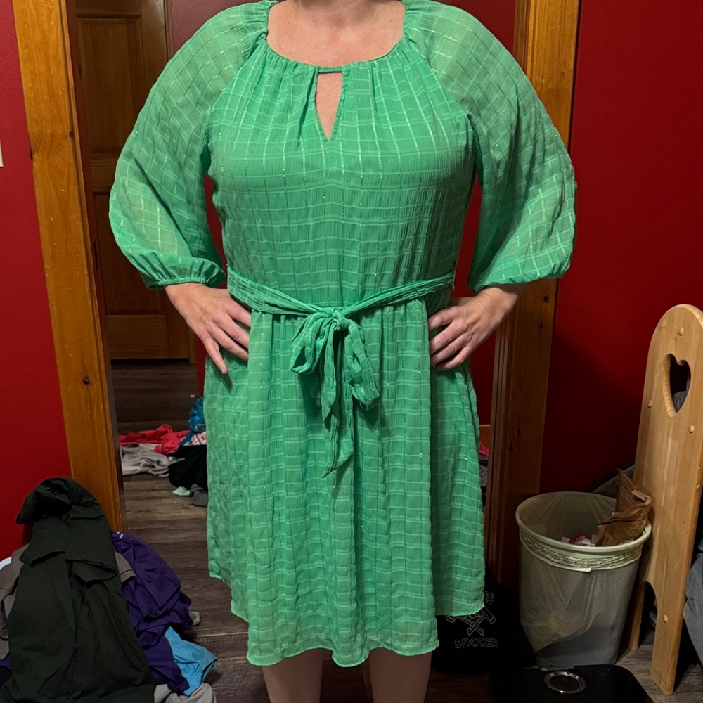 DKNY Green Long Sleeve Dress with Tie Waist